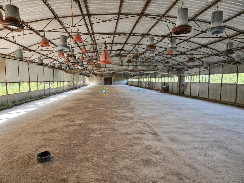 Farm i Beniganim, Valencia - foto 4
